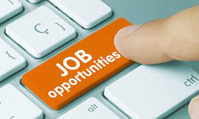 Career Opportunity :International Consultant – Programme Policy Officer (Early Warnings and