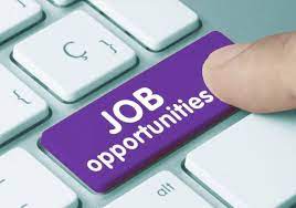 Job Opportunity: Social Policy Officer