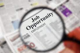 Job Opportunity: Programme Associate