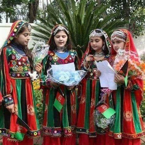 Afghanistan Cultural Fund Grant Applications 2024
